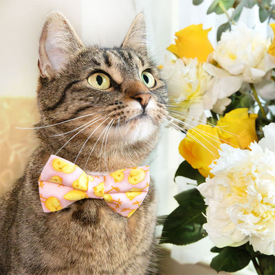 Pet Bow Tie - "Spring Chicks - Pink" - Easter Bow Tie / Spring, Baby Chick, It's A Girl / For Cats + Small Dogs (One Size)