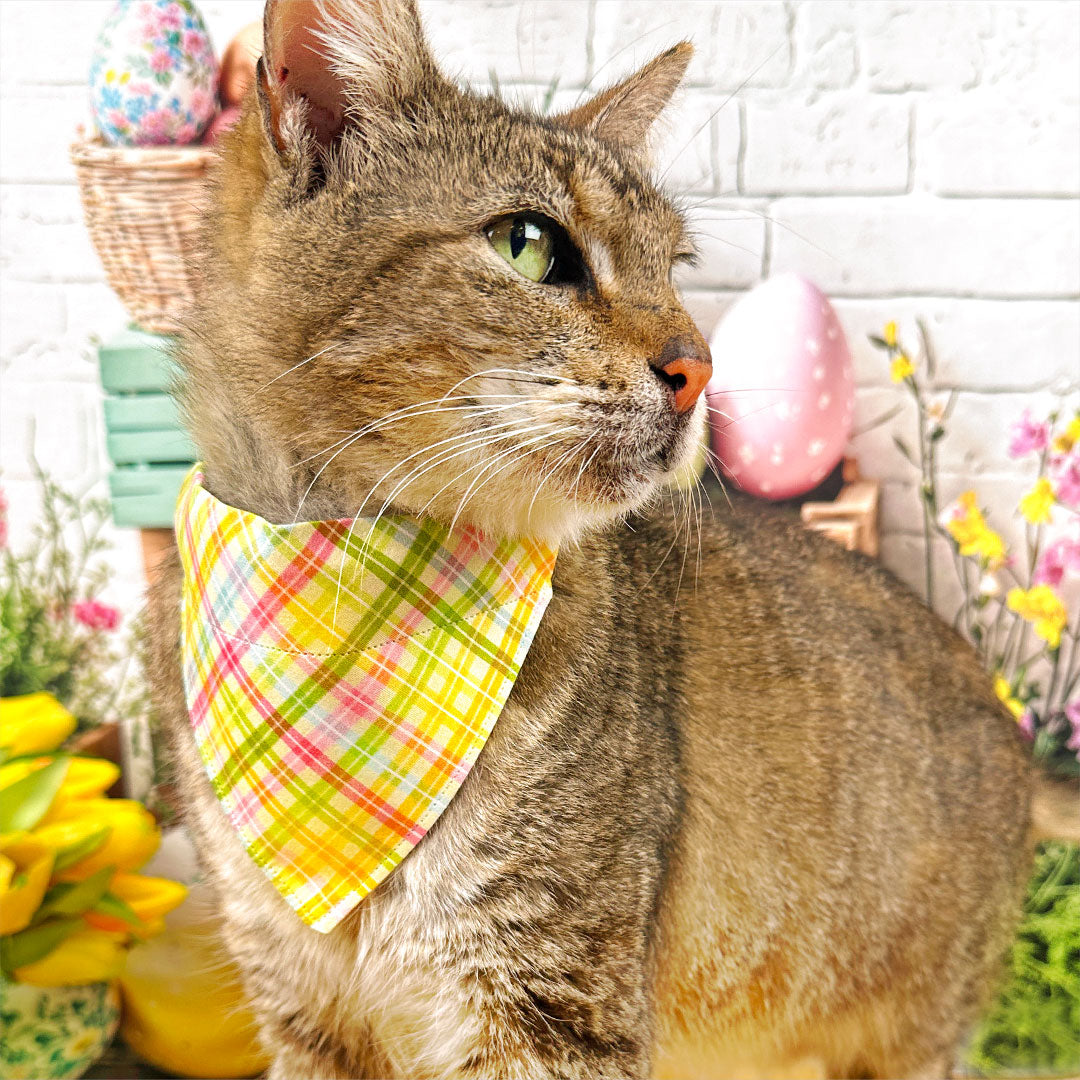 Spring Plaid Cat Bandana - "Spring Basket" - Yellow Pastel Plaid Bandana for Cat + Small Dog / Easter, Summer / Slide-on Bandana