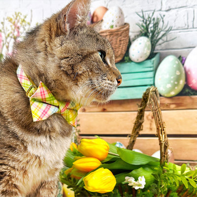 Spring Plaid Cat Bow Tie - "Spring Basket" - Yellow Pastel Plaid Bow Tie for Cat Collar / Easter, Summer / Cat, Kitten + Small Dog Bowtie