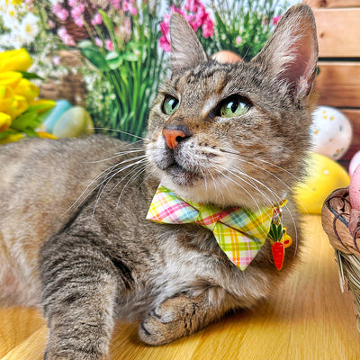 Spring Plaid Cat Bow Tie - "Spring Basket" - Yellow Pastel Plaid Bow Tie for Cat Collar / Easter, Summer / Cat, Kitten + Small Dog Bowtie