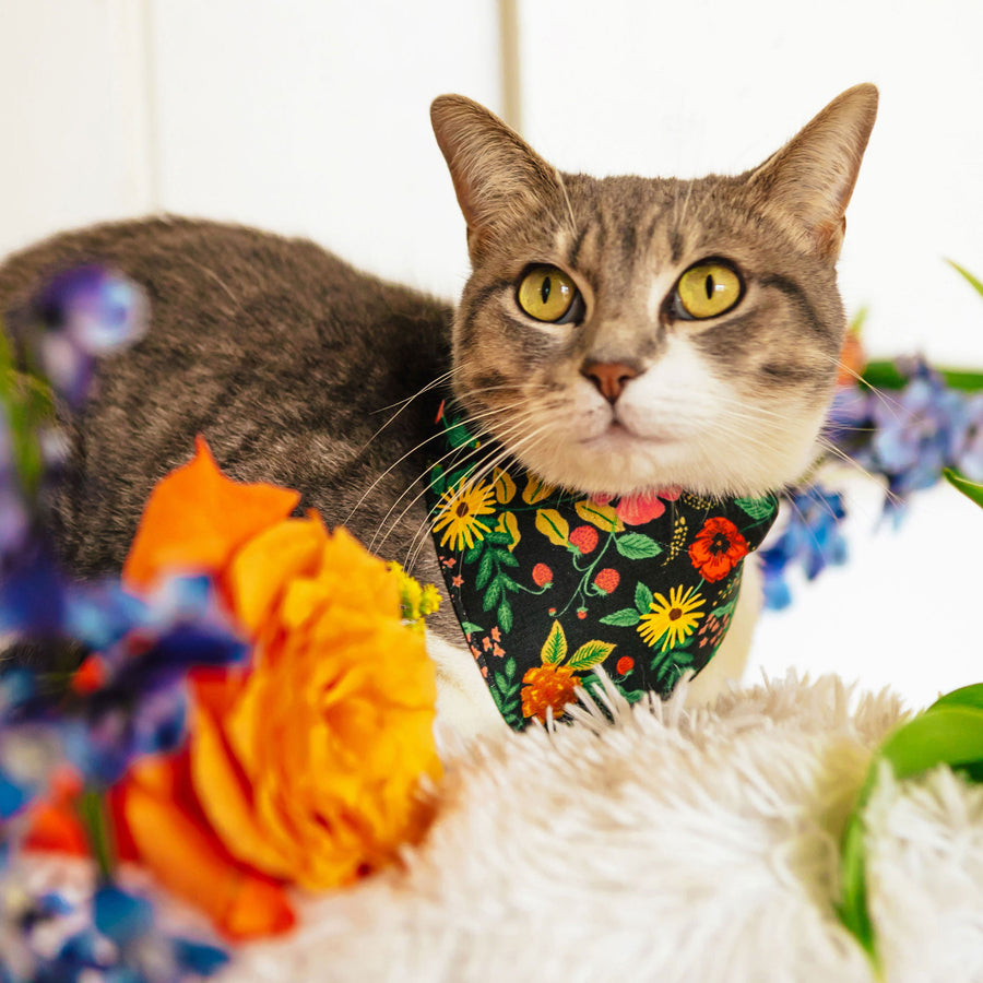 Pet Bandana - "Stevie" - Rifle Paper Co® Black Floral Bandana for Cat + Small Dog / Slide-on Bandana / Over-the-Collar (One Size)