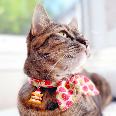Pet Collar Charms - "Food, Fruits & Sweets" - For Cat Collars & Small Dog Collars
