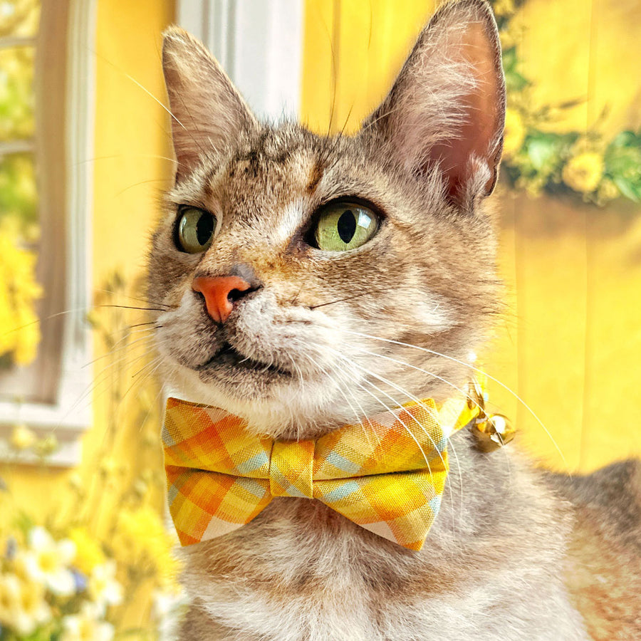 Bow Tie Cat Collar Set - "Sunny Day" - Yellow Plaid Cat Collar w/ Matching Bowtie / Spring, Easter, Summer / Cat, Kitten, Small Dog
