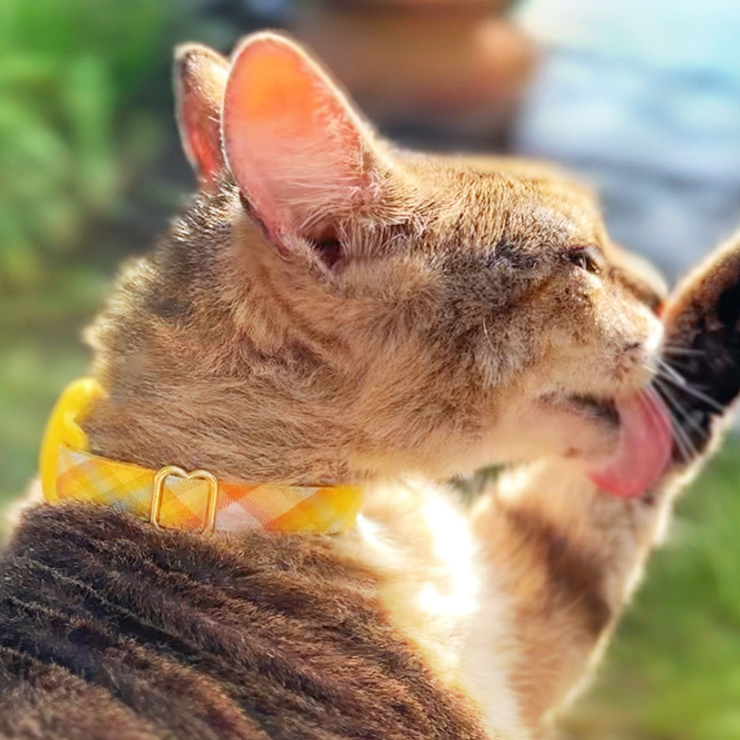 Cat Collar & Bunny Ear Bow Set - "Sunny Day" - Yellow Plaid Cat Collar with Bunny Bow Tie / Spring, Easter, Summer / Breakaway Girl Cat Collar