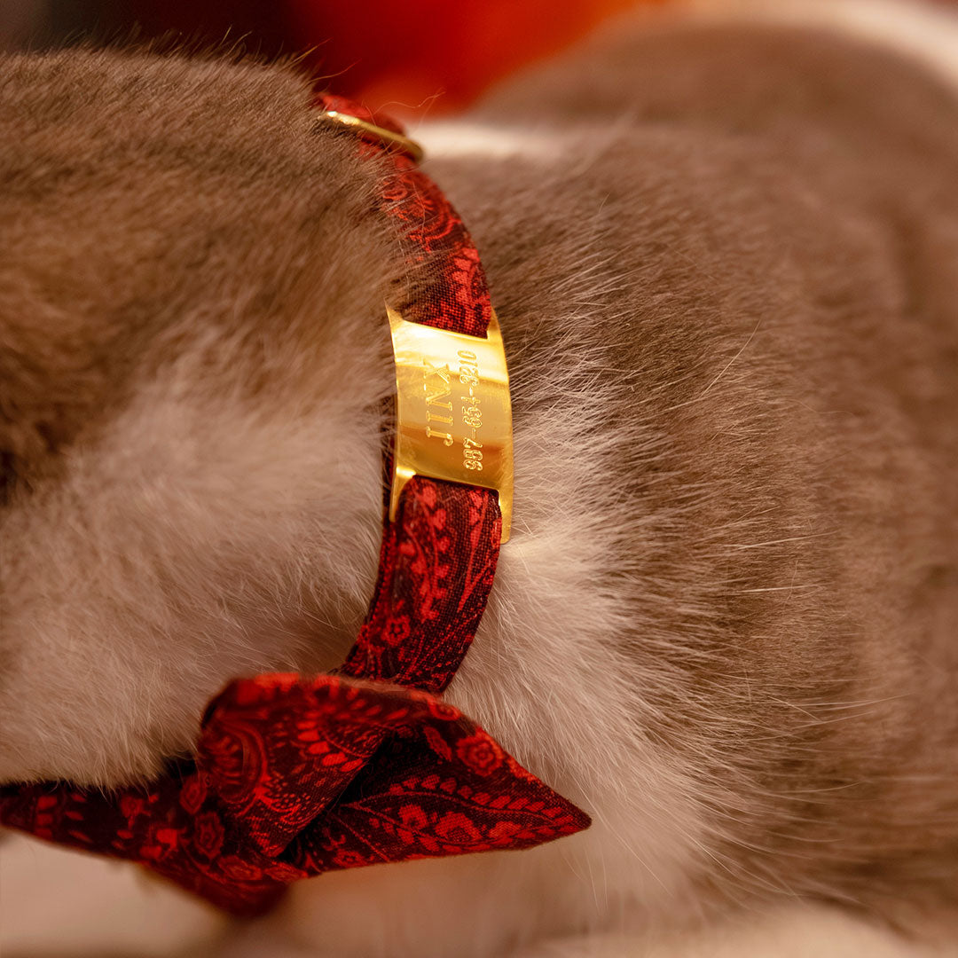 Engraved Pet ID Tag - (12 Styles incl. Slide On / Slider Pet Tag) - Personalized ID Tags for Cats, Kittens & Small Dogs