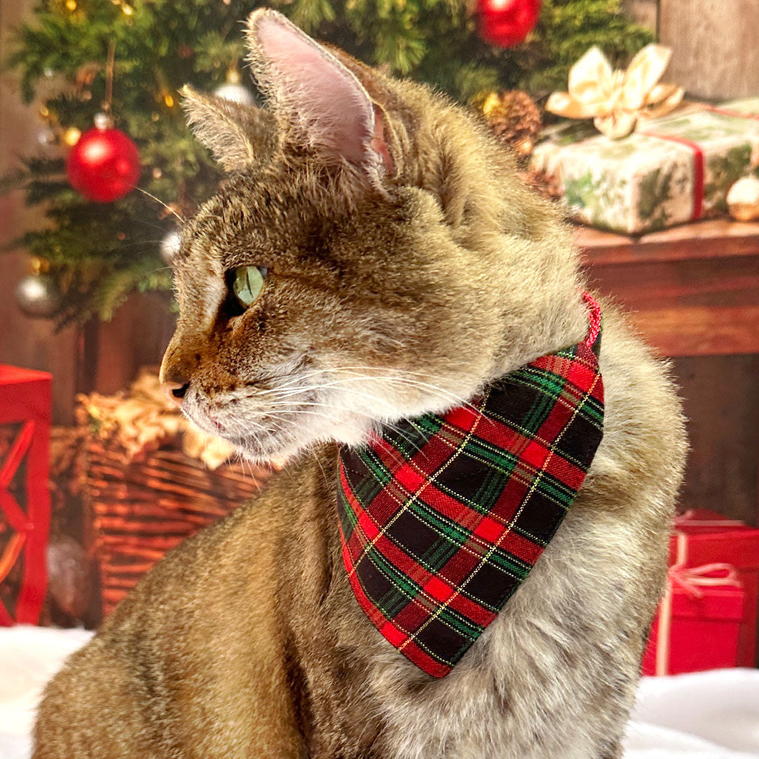 Holiday Cat Collar - "Telluride" - Red Green Black Christmas Plaid Cat Collar / Breakaway Buckle or Non-Breakaway / Cat, Kitten + Small Dog Sizes