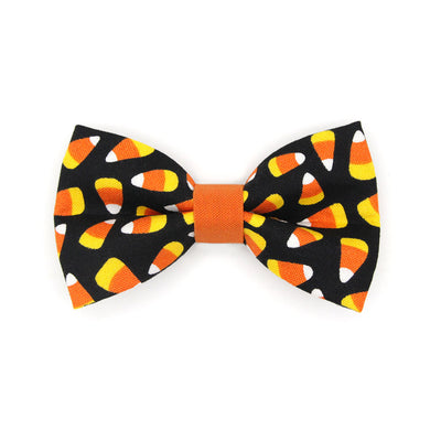Halloween Cat Bow Tie - "Trick or Treat" - Candy Corn - Cat Bowtie / Kitten Bow Tie / Small Dog Bow Tie - Removable (One Size)