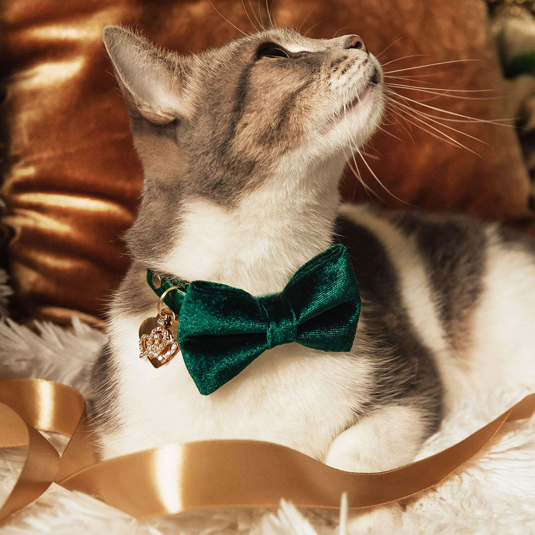 Cat Collar "Velvet Hunter Green" Dark Green Velvet Cat Collar