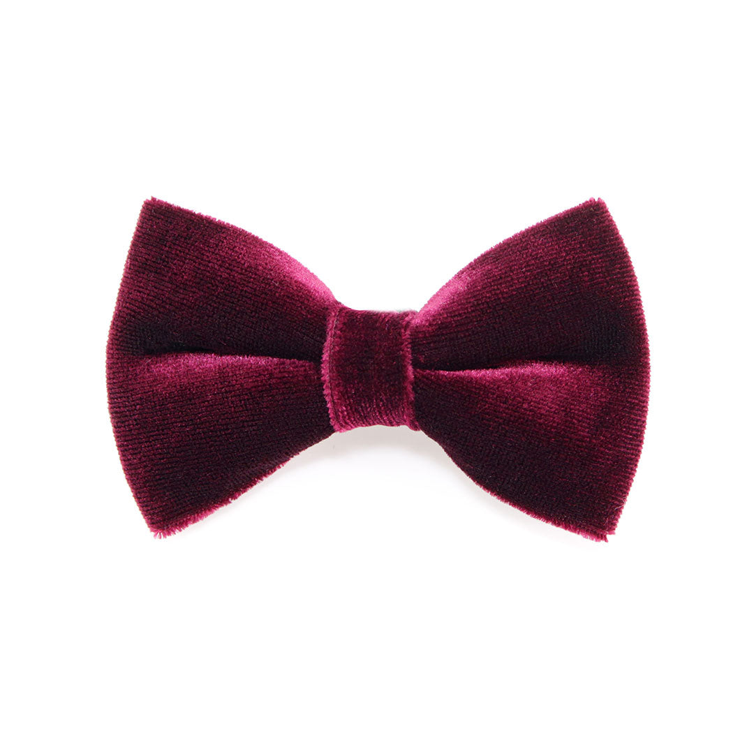 Pet Bow Tie - "Velvet - Merlot" - Burgundy Wine Velvet Bowtie / Wedding / For Cats + Small Dogs / Removable (One Size)