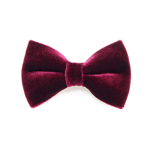 Pet Bow Tie - "Velvet - Merlot" - Burgundy Wine Velvet Bowtie / Wedding / For Cats + Small Dogs / Removable (One Size)