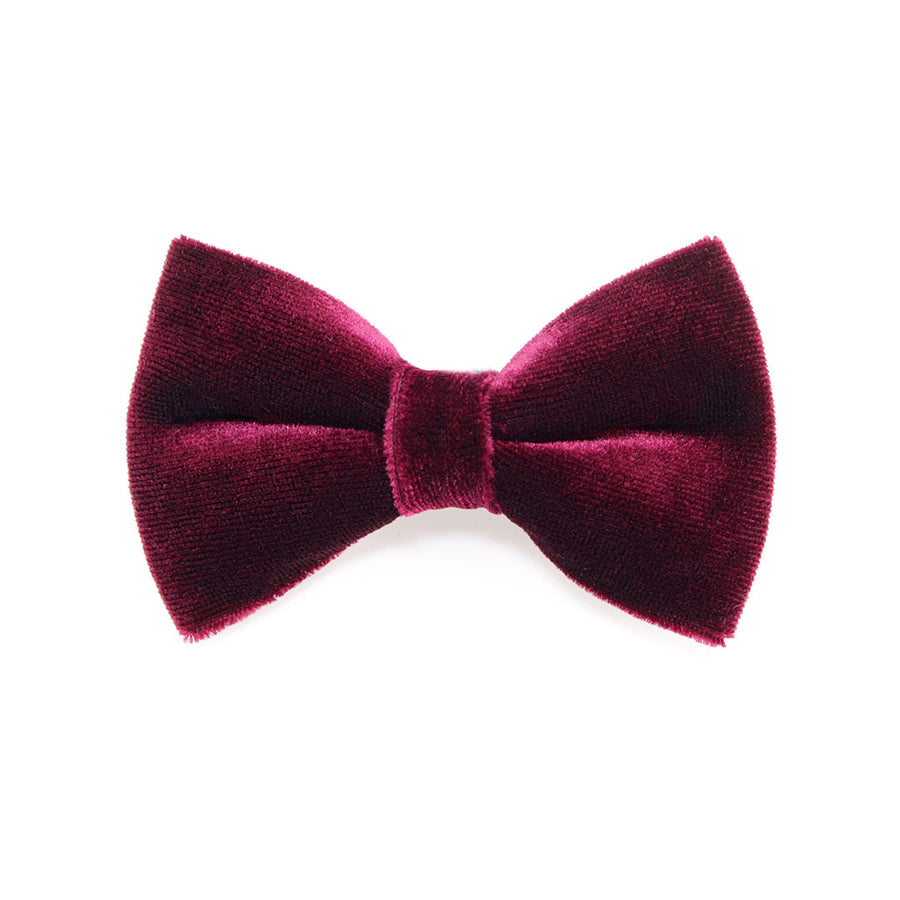 Pet Bow Tie - "Velvet - Merlot" - Burgundy Wine Velvet Bowtie / Wedding / For Cats + Small Dogs / Removable (One Size)