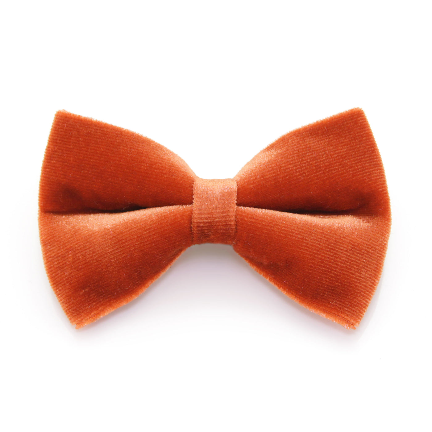 Pet Bow Tie - "Velvet - Roasted Pumpkin" - Burnt Orange Velvet Bowtie / Fall & Thanksgiving / Wedding / For Cats + Small Dogs / Removable (One Size)