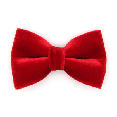 Pet Bow Tie (TINY SIZE) - "Velvet - Garnet Red" - Christmas, Holidays & Wedding Bow Tie | For Kitten + Tiny Dog