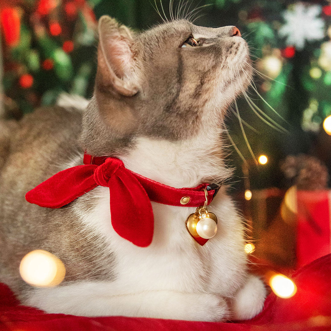 Pet Collar Charms - "Jeweled & Classic" - For Cat Collars & Small Dog Collars