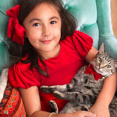 Red Velvet Cat Collar - "Velvet - Garnet Red" - Holiday, Christmas, Wedding - Breakaway Buckle or Non-Breakaway | Cat + Small Dog Sizes