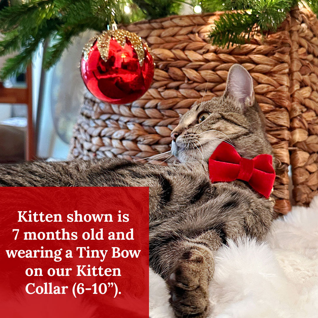 Pet Bow Tie (TINY SIZE) - "Velvet - Garnet Red" - Christmas, Holidays & Wedding Bow Tie | For Kitten + Tiny Dog