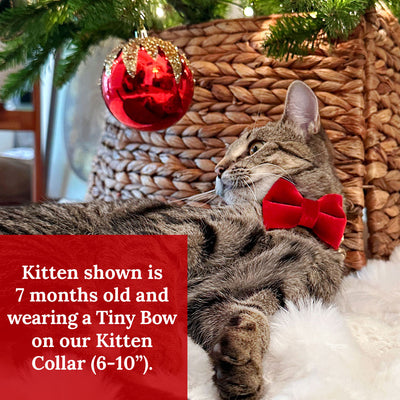 Pet Bow Tie (TINY SIZE) - "Velvet - Garnet Red" - Christmas, Holidays & Wedding Bow Tie | For Kitten + Tiny Dog