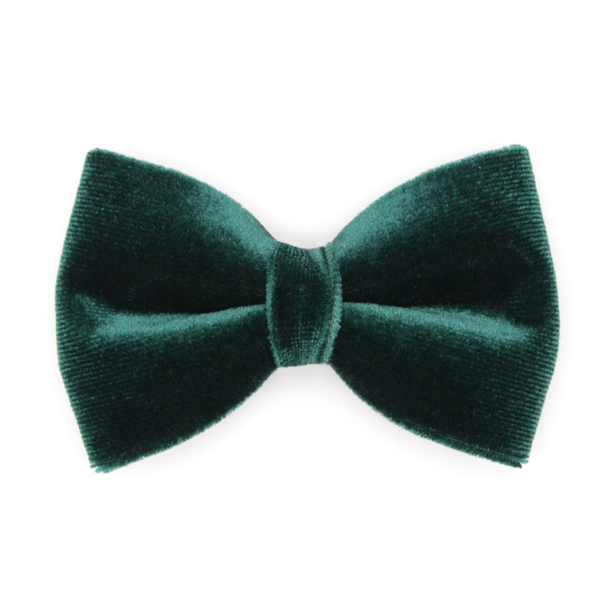 Pet Bow Tie (TINY SIZE) - "Velvet - Hunter Green" - Christmas, Holidays & Wedding Bow Tie | For Kitten + Tiny Dog