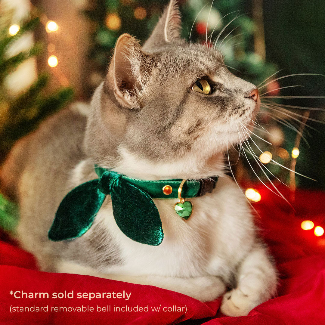 Cat Collar & Bunny Ear Bow Set - "Velvet - Hunter Green" - Dark Green Velvet Cat Collar w/ Matching Bunny Bow Tie / Christmas, Holiday, Wedding + Birthday / Cat, Kitten + Small Dog Sizes