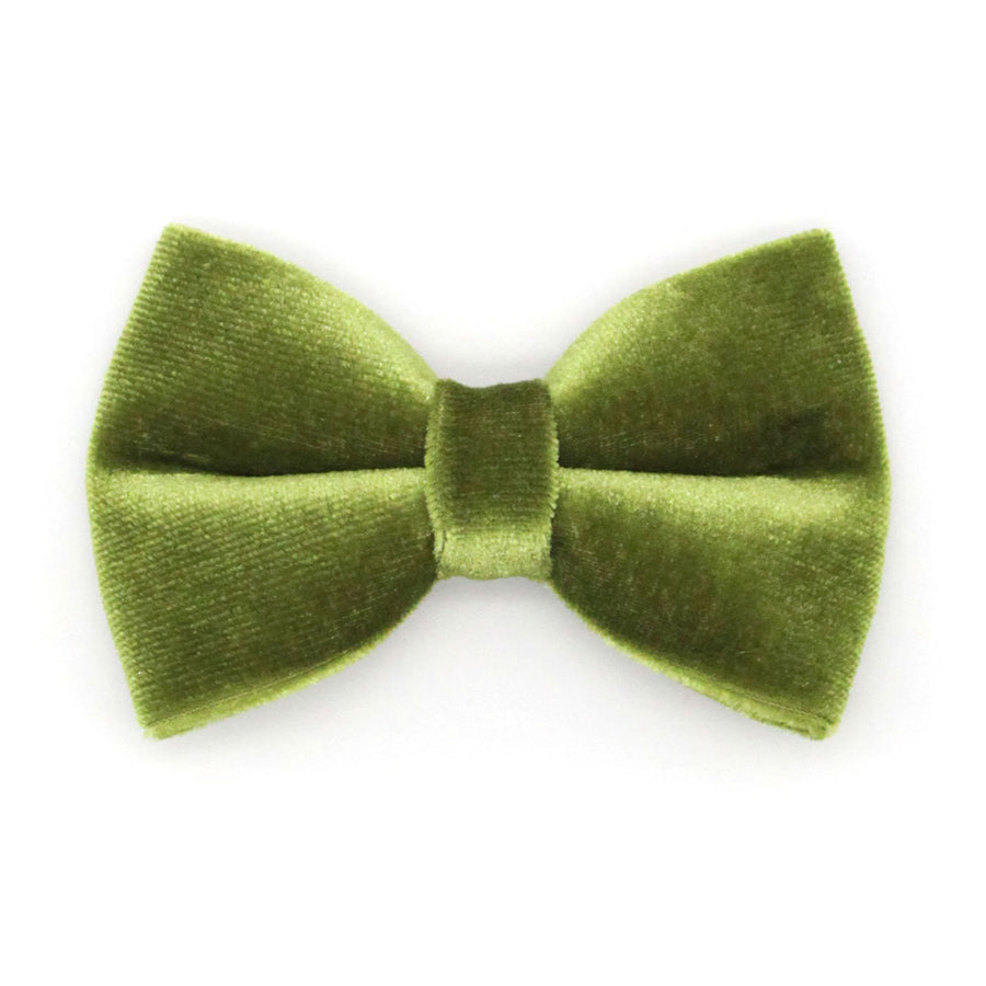 Cat Bow Tie - "Velvet - Leaf Green"  - Vibrant Olive Green Velvet Bowtie / Wedding / For Cats + Small Dogs / Removable (One Size)