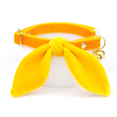 Cat Collar - "Velvet - Marigold" - Luxury Velvet Cat Collar / Breakaway Buckle or Non-Breakaway / Cat, Kitten + Small Dog Sizes
