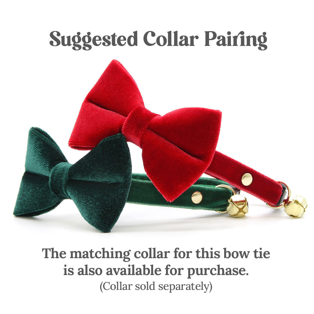 Pet Bow Tie (REGULAR SIZE) - "Velvet - Hunter" - Christmas, Holidays & Wedding Bow Tie | For Adult Cat + Small Dog