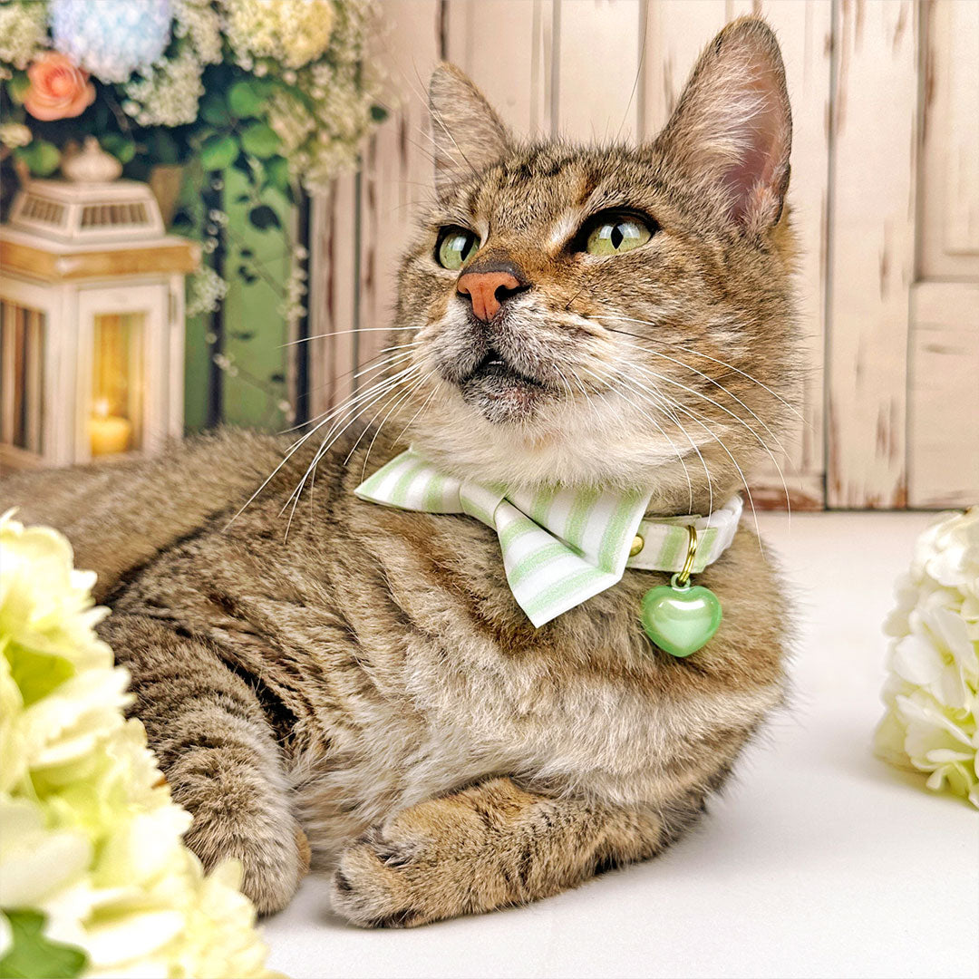 Striped Cat Bow Tie - "Veranda - Green" - Light Green Stripe Bow Tie for Cat Collar / Spring, Summer, Derby, Wedding / Cat, Kitten + Small Dog Bowtie