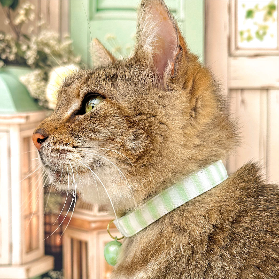 Striped Bow Tie Cat Collar Set - "Veranda - Green" - Light Green Stripes Cat Collar with Bow Tie / Spring, Summer, Seersucker, Derby, Wedding / Cat, Kitten, Small Dog Sizes