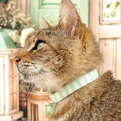 Striped Bow Tie Cat Collar Set - "Veranda - Green" - Light Green Stripes Cat Collar with Bow Tie / Spring, Summer, Seersucker, Derby, Wedding / Cat, Kitten, Small Dog Sizes