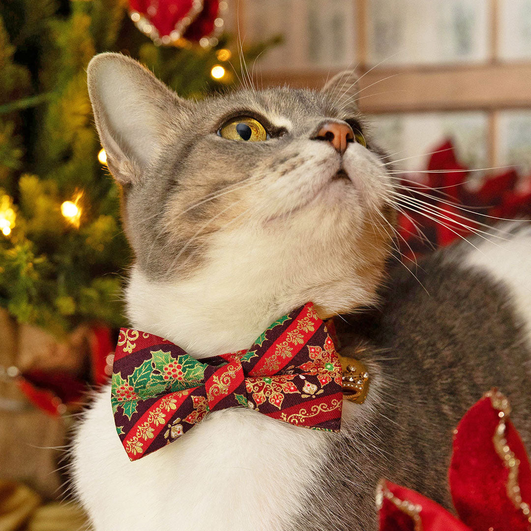 NEW! 2026 Holiday Collection 🎄