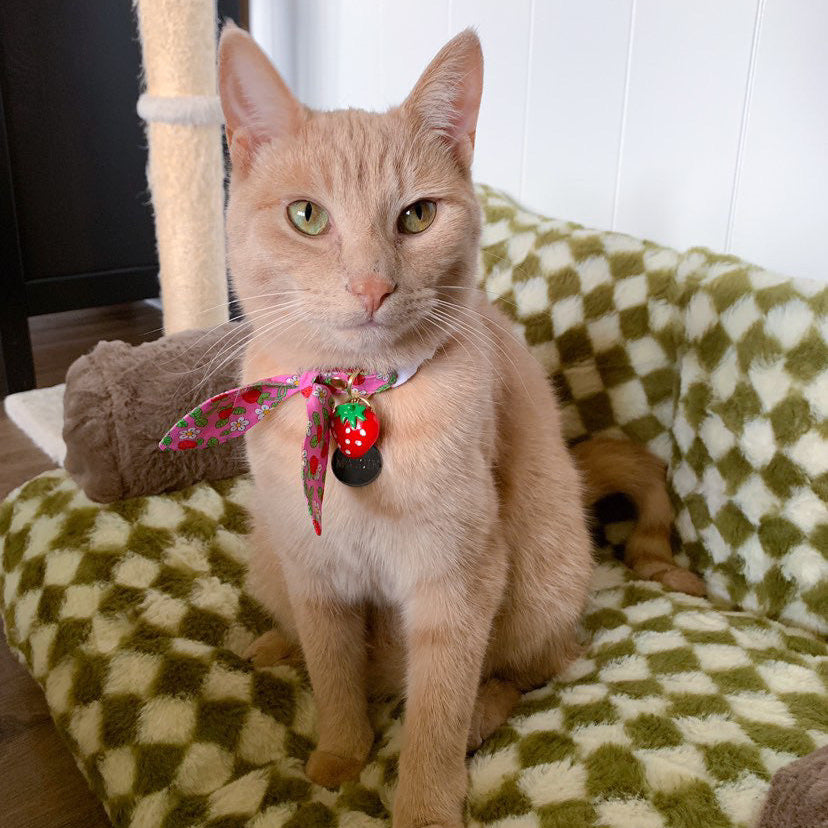 Cat Collar & Bunny Ear Bow Set - "Wild Strawberry - Pink" - Red & Pink Fruit Floral Strawberry Cat Collar with Matching Bunny Bow Tie / Cat, Kitten + Small Dog Sizes