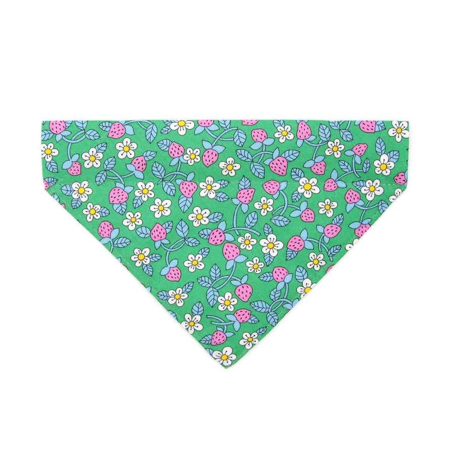 Pet Bandana - "Wild Strawberry - Mint" - Liberty of London® Berry Floral Bandana for Cat + Small Dog / Spring + Summer / Slide-on Bandana / Over-the-Collar (One Size)