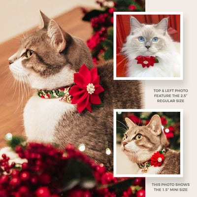 Cat Collar + Flower Set - "Juniper" - Holiday Green & Gold Snowflake Cat Collar + Specialty Christmas Red Poinsettia Felt Flower (Detachable)