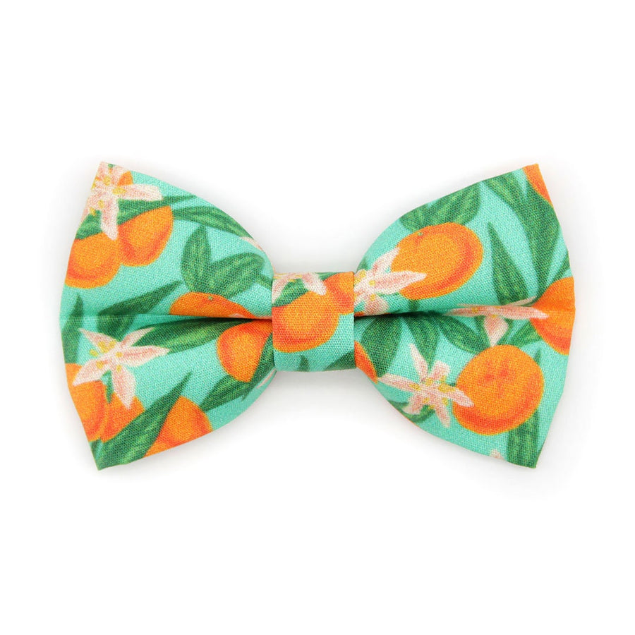 Pet Bow Tie - "Clementine Blossom" - Mint Green & Orange Citrus Cat Bow Tie / Spring, Summer, Tangerine, Tropical / For Cats + Small Dogs (One Size)
