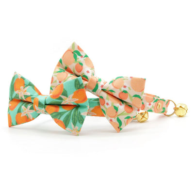 Pet Bow Tie - "Clementine Blossom" - Mint Green & Orange Citrus Cat Bow Tie / Spring, Summer, Tangerine, Tropical / For Cats + Small Dogs (One Size)