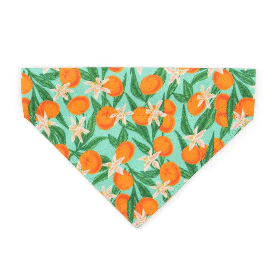 Pet Bandana - "Clementine Blossom" - Mint Green & Orange Citrus Bandana for Cat + Small Dog / Spring. Summer, Tangerine, Tropical / Slide-on Bandana / Over-the-Collar (One Size)