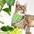 Pet Bandana - "Hydrangea Hill" - Botanical Green Bandana for Cat + Small Dog / Spring + Summer Floral / Slide-on Bandana / Over-the-Collar (One Size)