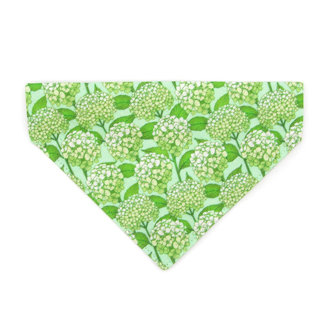 Pet Bandana - "Hydrangea Hill" - Botanical Green Bandana for Cat + Small Dog / Spring + Summer Floral / Slide-on Bandana / Over-the-Collar (One Size)