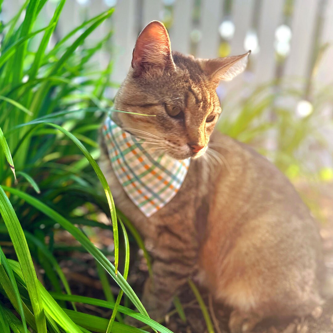 Pet Bandana - "Seashore" - Blue & Mint Plaid Bandana for Cat + Small Dog / Spring, Summer, Coastal, Ocean / Slide-on Bandana / Over-the-Collar (One Size)
