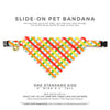 Pet Bandana - "Maypole" - Rainbow Plaid Bandana for Cat + Small Dog / Spring, Summer, Fiesta, Cinco, Mayday / Slide-on Bandana / Over-the-Collar (One Size)