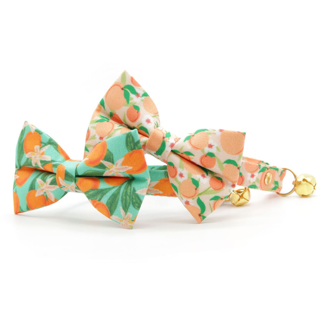 Cat Collar - "Clementine Blossom" - Green & Orange Citrus Cat Collar / Breakaway Buckle or Non-Breakaway / Cat, Kitten + Small Dog Sizes
