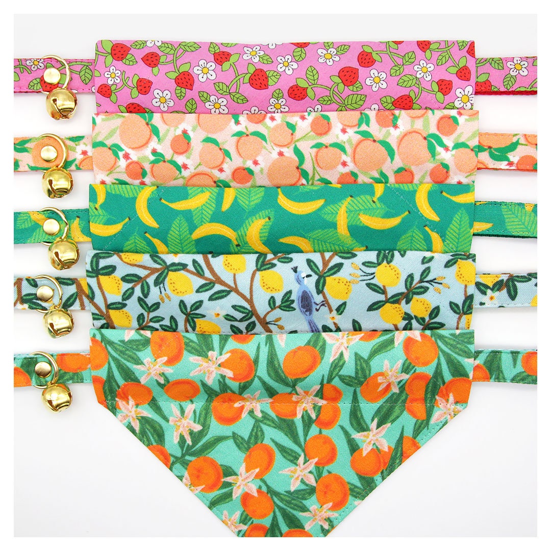 Cat Collar - "Clementine Blossom" - Green & Orange Citrus Cat Collar / Breakaway Buckle or Non-Breakaway / Cat, Kitten + Small Dog Sizes