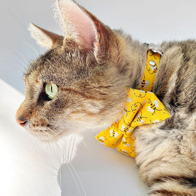 Cat Collar - "Show Me The Honey" - Yellow Bee Cat Collar / Breakaway Buckle or Non-Breakaway / Cat, Kitten + Small Dog Sizes