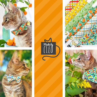Bow Tie Cat Collar Set - "Clementine Blossom" - Mint Green & Orange Citrus Cat Collar w/ Matching Bowtie / Spring, Summer, Tangerine, Tropical / Cat, Kitten, Small Dog Sizes
