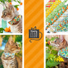 Bow Tie Cat Collar Set - "Bugs & Butterflies" - Sky Blue Insect + Butterfly Cat Collar w/ Matching Bowtie / Spring + Summer / Cat, Kitten, Small Dog Sizes