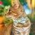 Bow Tie Cat Collar Set - "Seashore" - Ocean Blue & Mint Plaid Cat Collar w/ Matching Bowtie / Spring + Summer / Cat, Kitten, Small Dog Sizes