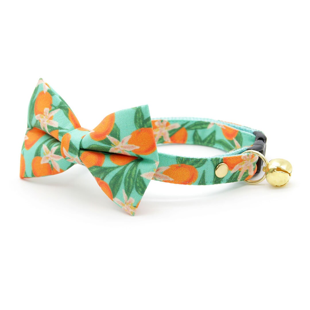 Bow Tie Cat Collar Set - "Clementine Blossom" - Mint Green & Orange Citrus Cat Collar w/ Matching Bowtie / Spring, Summer, Tangerine, Tropical / Cat, Kitten, Small Dog Sizes