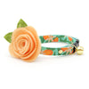 Cat Collar + Flower Set - "Clementine Blossom" - Green & Orange Citrus Cat Collar w/ Peach Felt Flower (Detachable)