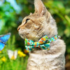 Pet Bow Tie - "Bugs & Butterflies" - Sky Blue Insects + Butterfly Cat Bow Tie / Spring + Summer / For Cats + Small Dogs (One Size)