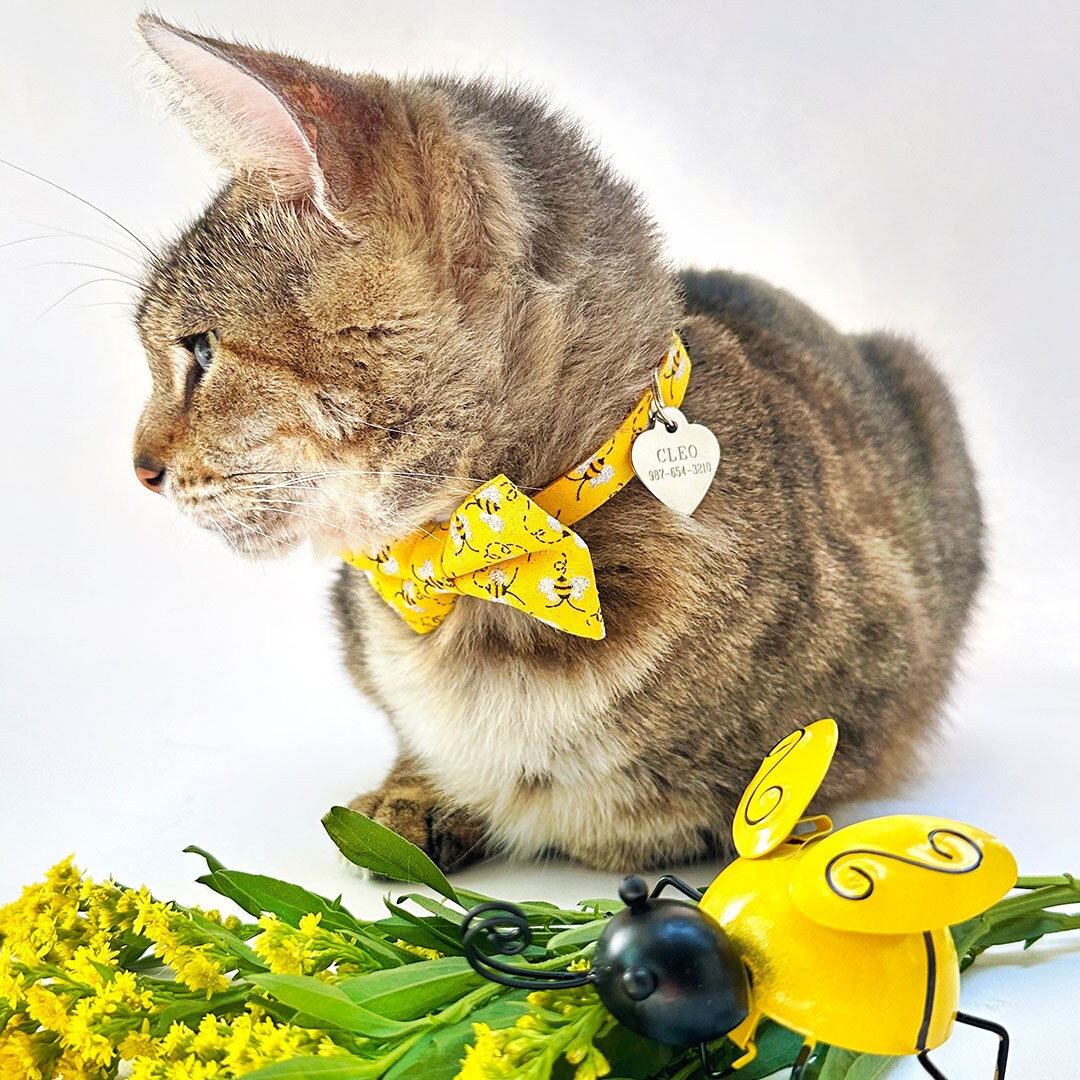 Pet Bow Tie - "Show Me The Honey" - Yellow Bee Cat Bow Tie / Spring + Summer / For Cats + Small Dogs (One Size)